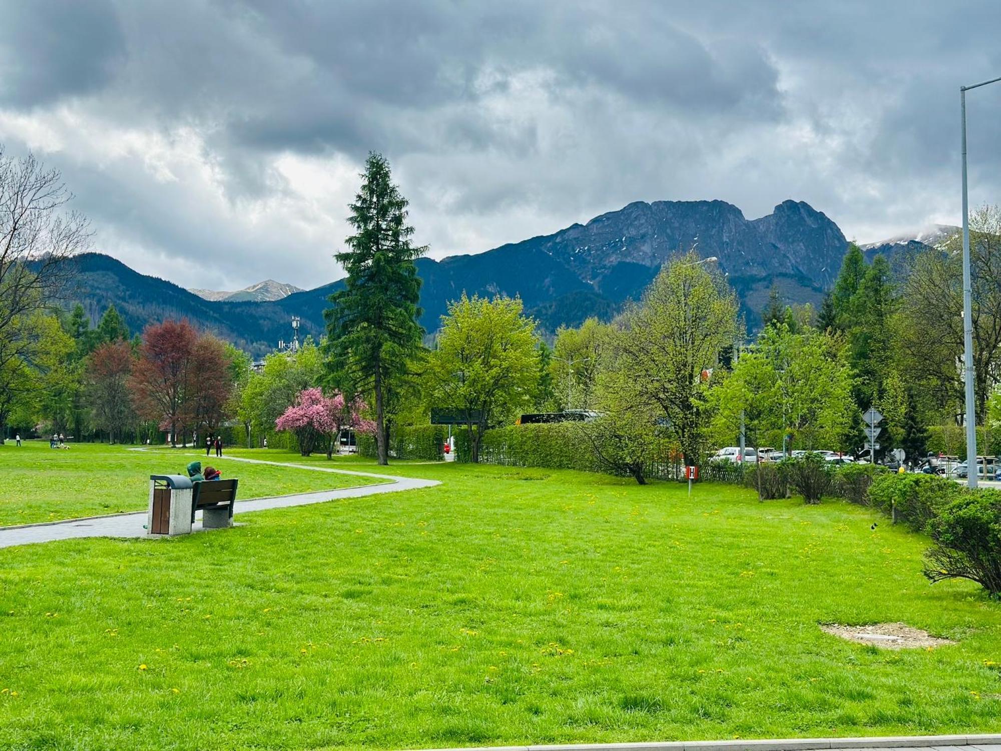 Lesny Dworek Zakopane Extérieur photo